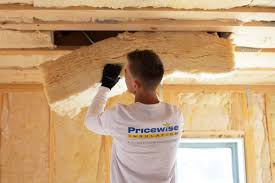 Best Eco-Friendly or Green Insulation Solutions  in New Smyrna Beach, FL