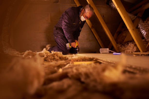 Best Commercial Insulation Services  in New Smyrna Beach, FL